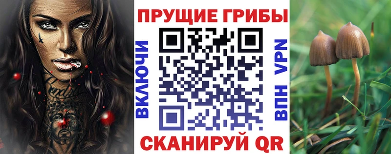 Галлюциногенные грибы мицелий Сольвычегодск